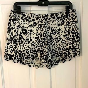 Leopard print scallop trim shorts